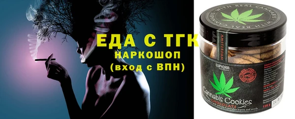 СК Ельня