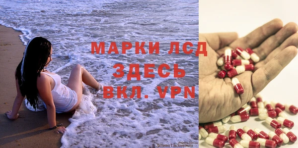 сатива Дмитровск