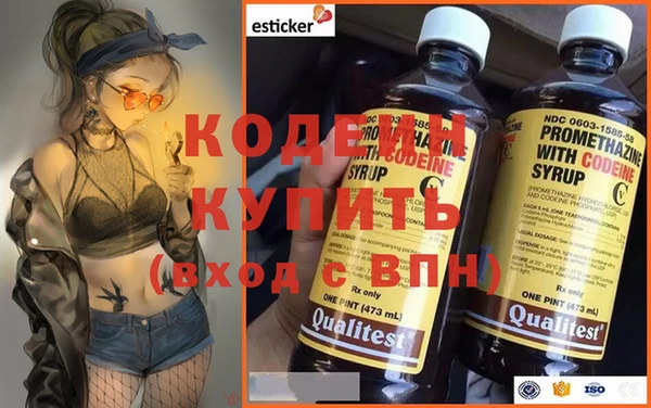 СК Ельня