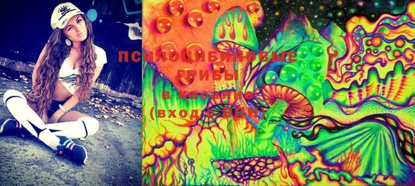 PSILOCYBIN Елабуга