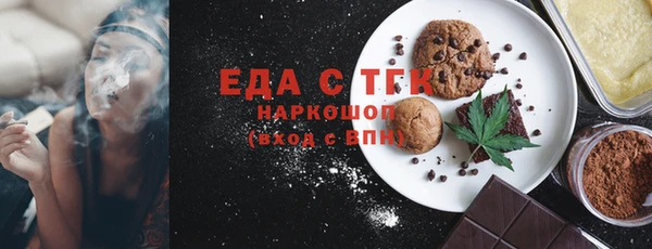 СК Ельня