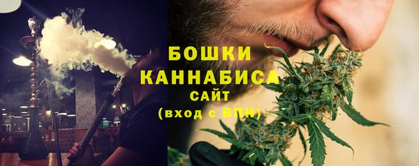 PSILOCYBIN Елабуга