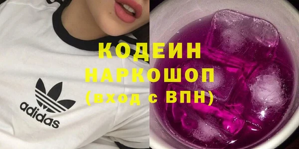 СК Ельня