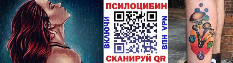 Купить  Истра  Псилоцибиновые грибы GOLDEN TEACHER 